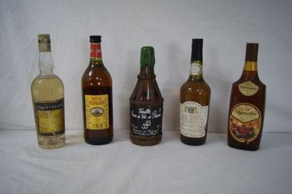null Lot de 5 bouteilles : rhum Papagayo (100 cl), Calvados Coeur de Lion (70 cl),...