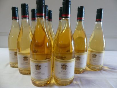 null 12 bouteilles de Visan, Côtes du Rhône Blanc, Louis d'Armont, 2014