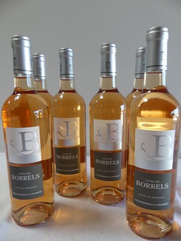 null 6 bouteilles de Provence Rosé, La Cuvée des Borrels, Vignerons de la Londe,...