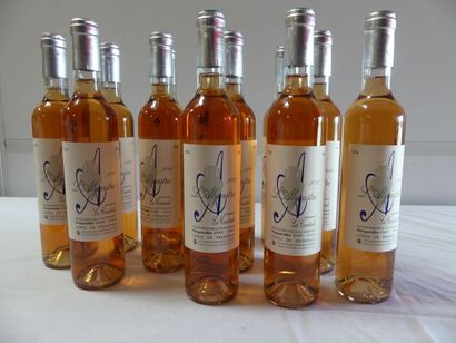 null 12 bouteilles 50 cl Provence Rosé L'Alycastre Domaine de la Courtade à Porquerolles,...