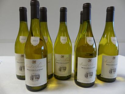 null 7 bouteilles de Bourgogne Blanc, Macon Lugny, Marcel de Normont, 2014