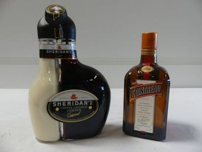 null Lot de 2 bouteilles : 1 bouteille de Liqueur Sheridan's Chocolate liqueur et...