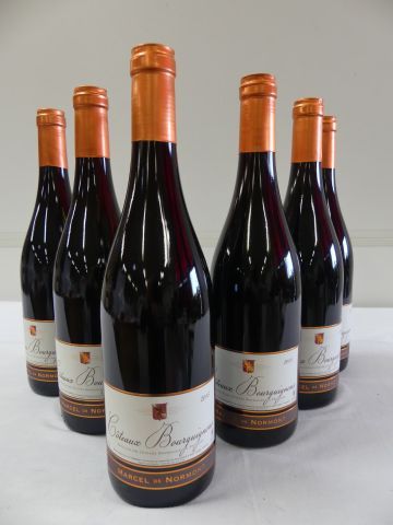 null 6 bouteilles de Côteaux Bourguignons, Domaine de Rochebin, Marcel de Normont...
