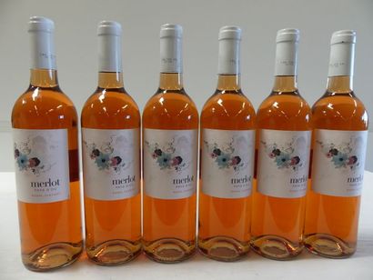 null 6 bouteilles de Rosé, Raoul Clerget, Merlot, 2013