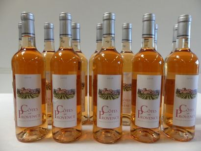 null 12 bouteilles de Côtes de Provence Rosé, 2015