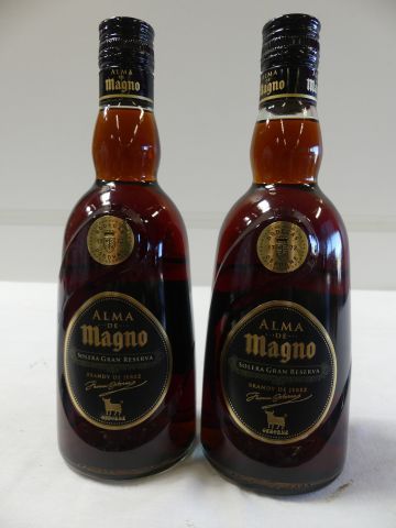 null 2 bouteilles de Brandy de Jerez, Alma de Magno, Solera, Grande réserve, Thomas...