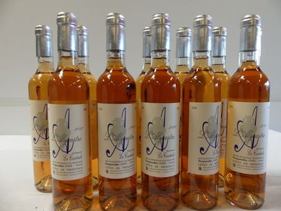 null 12 bouteilles de Provence Rosé L'Alycastre, Domaine de La Courtade à Porquerolles,...