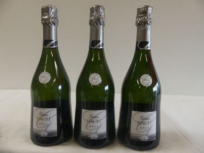 null 3 bouteilles de Méthode Traditionnelle, Gran Bach, Brut, 75 cl, Elaboration...