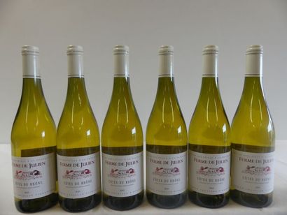 null 6 bouteilles de Côtes du Rhône Blanc, Ferme de Julien, Laudun Chusclan Vigneron,...