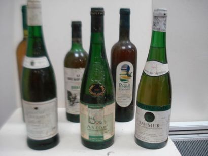 null Lot de 6 bouteilles de vin blanc : Château de Brames 1997, Anjou 1997, Saumur...