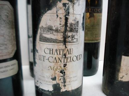 null Lot de 6 bouteilles de vin rouge : 3 de Château Haut Canteloup (etsa), 2 de...