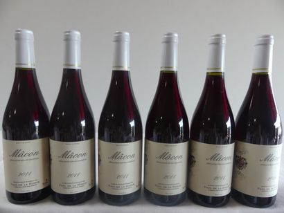 null 6 bouteilles de Macon, Paul de la Ronce, 2011