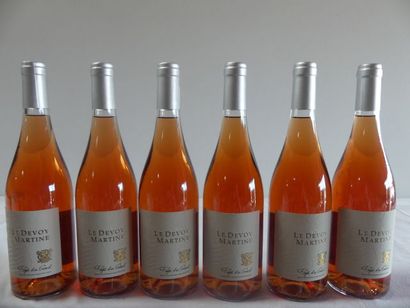 null 6 bouteilles de Rosé, Le Devoy Martine, Pays du Gard, IGP, 2015bouteilles de...