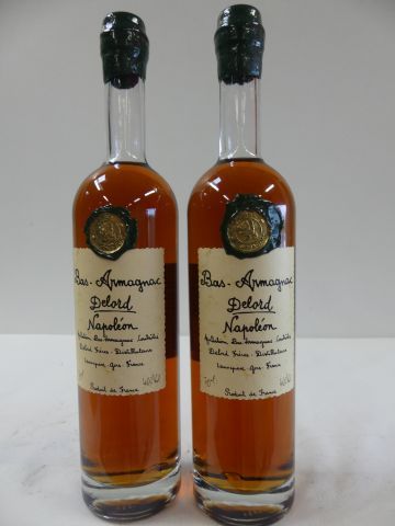 null 2 bouteilles de Bas Armagnac Delord Napoléon 70 cl, 40 % vol.