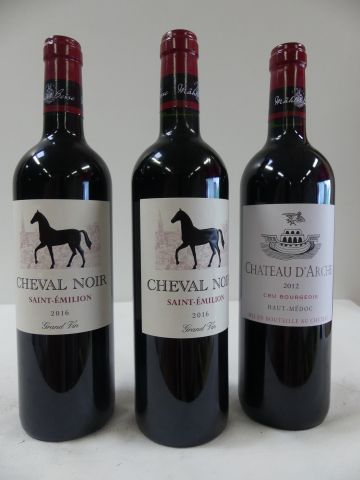 null Lot de 3 bouteilles : 2 bouteilles de St Emilion Cheval Noir, Mahler Besse,...