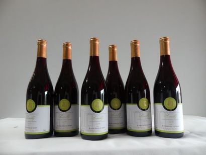 null 6 bouteilles de Brouilly, Cru du Beaujolais, Jean Olivier Le Saint, 2014