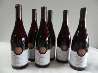 null 6 bouteilles de Brouilly, Cru du Beaujolais, Jean Olivier Le Saint, 2014