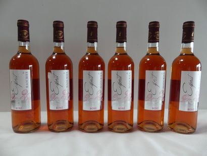 null 6 bouteilles de Rosé, Château des Maouries, L'Esprit de Maourie, Côtes de Gascognes,...