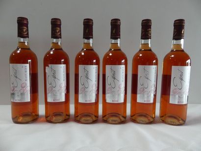 null 6 bouteilles de Rosé, Château des Maouries, L'Esprit de Maourie, Côtes de Gascognes,...