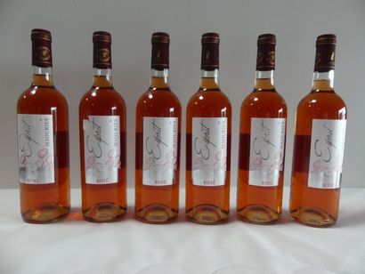 null 6 bouteilles de Rosé, Château des Maouries, L'Esprit de Maourie, Côtes de Gascognes,...