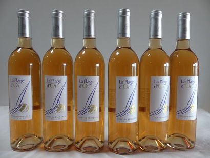 null 6 bouteilles de Côtes de Provence Rosé, La Plage d'Or, Récolte de la Londe Les...
