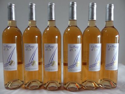 null 6 bouteilles de Côtes de Provence Rosé, La Plage d'Or, Récolte de la Londe Les...