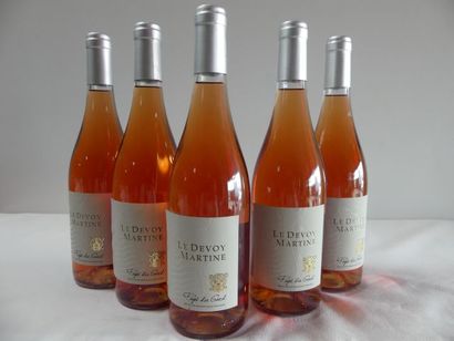 null 5 bouteilles du Pays du Gard Rosé, Le Devoy la Martine, 2015