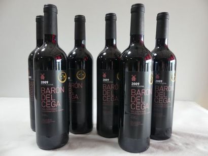 null 6 bouteilles de Vin d'Espagne, Baron del Céga, Valdepnas, Médaille d'Or, Grande...