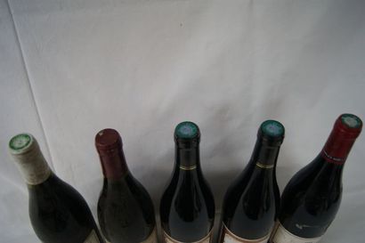 null Lot de 5 bouteilles de Bourgogne ; 2 Morey Saibt Denis 2007, 1 Aloxe Corton...