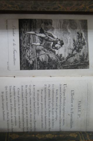 null Lot de 5 livres : Le Bailly "Fables" Paris, Chaumerot, 1811 / Swift "Les voyages...
