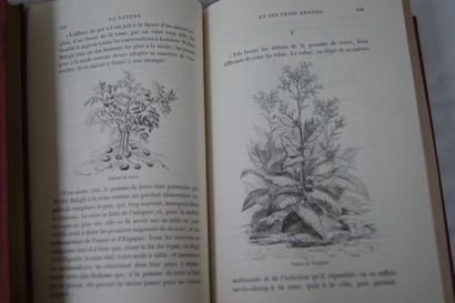 null Lot de 3 livres : Grandville "Fables de Florian" Garnier Frères / Emile Carrey...