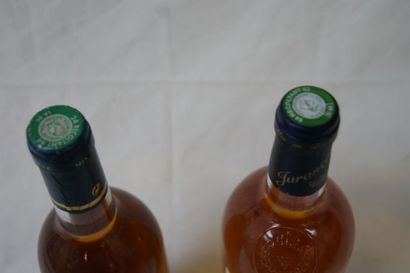 null Lot de 2 bouteilles de vins blancs moelleux : Jurançon 2004 et Bergerac 200...