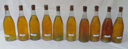 null 10 bouteilles d'Anjou, années 70 (B)