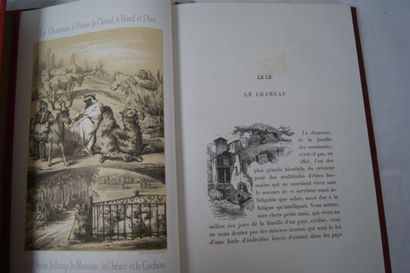 null Charles de Ribelle "L'OEuvrre de Dieu, la terre et ses productions" Amable ...