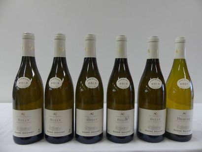 null Lot de 6 bouteilles : 5 bouteilles de Rully Blanc, André Goichot, 2013 et 1...