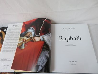 null Pierre Luigi de VECCHI "Raphael" Citadelles et Mazenod