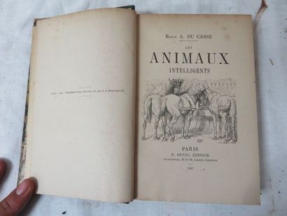 null Lot de livres reliés XIXe et XXe dont Chateaubriant, Merouvelle, Histoire marseillaise,...