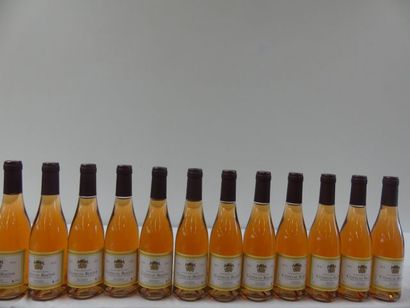 null 12 demies bouteilles de Côtes du Rhône Rosé, Vin de la Vallée du Rhône, Louis...