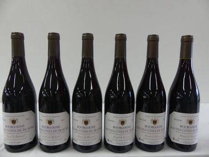 null 6 bouteilles de Bourgogne Rouge, Hautes Côtes de Beaune, Henri de Bareuil, ...