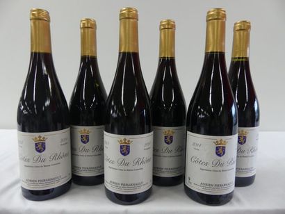 null 6 bouteilles de Côtes du Rhône Rouge, Adrien Pierarnault, 2014