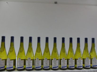 null 12 bouteilles de Château de la Thébaudière Muscadet Sèvre et Maine sur Lie Médaille...