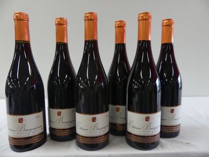 null 6 bouteilles de Bourgogne Rouge, Côteaux Bourguignons, Marcel de Normont, 2...