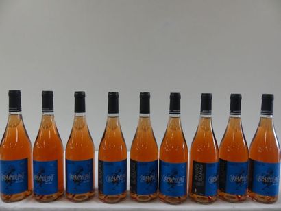 null 9 bouteilles de Chateaumeillant Rosé, AOC, Millésime 2013