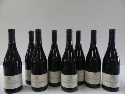 null 8 bouteilles de Bourgogne Rouge, Côteaux Bourguignons, La Vieille Barrique,...