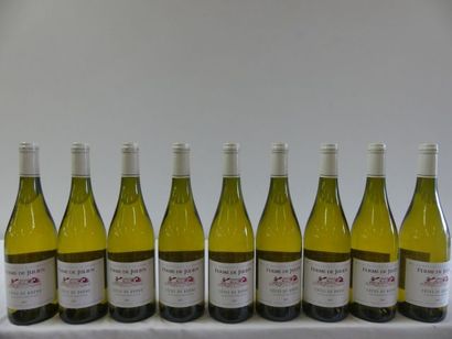 null 9 bouteilles de Côtes du Rhône Blanc, Ferme de Julien, Vignerons Laudun Chusclan,...