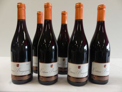 null 6 bouteilles de Côteaux Bourguignons, Bourgogne Rouge, Marcel de Normont 20...