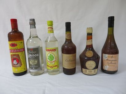 null Lot d'apéritifs : Pomeau de Normandie, Calvados, Liqueur, 2 bouteilles de Cachaça....