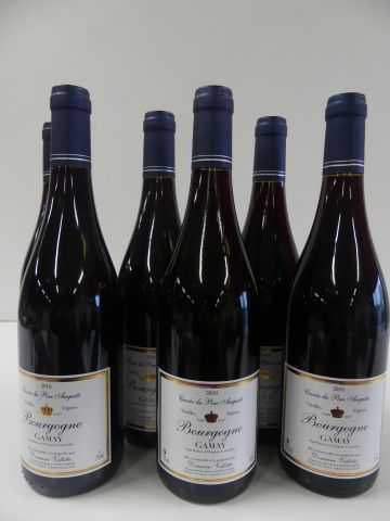 null 6 bouteilles de Bourgogne Rouge Vieilles Vignes, Cuvée du Père Auguste, Gamay,...