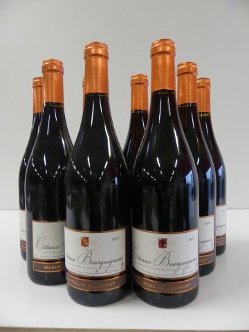 null 8 bouteilles de Bourgogne Rouge Côteaux Bourguignons, Marcel de Normont, 20...
