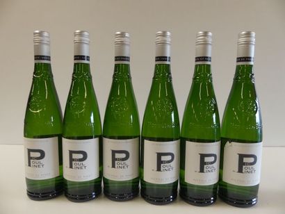 null 6 bouteilles de Picpoul de Pinet 2016